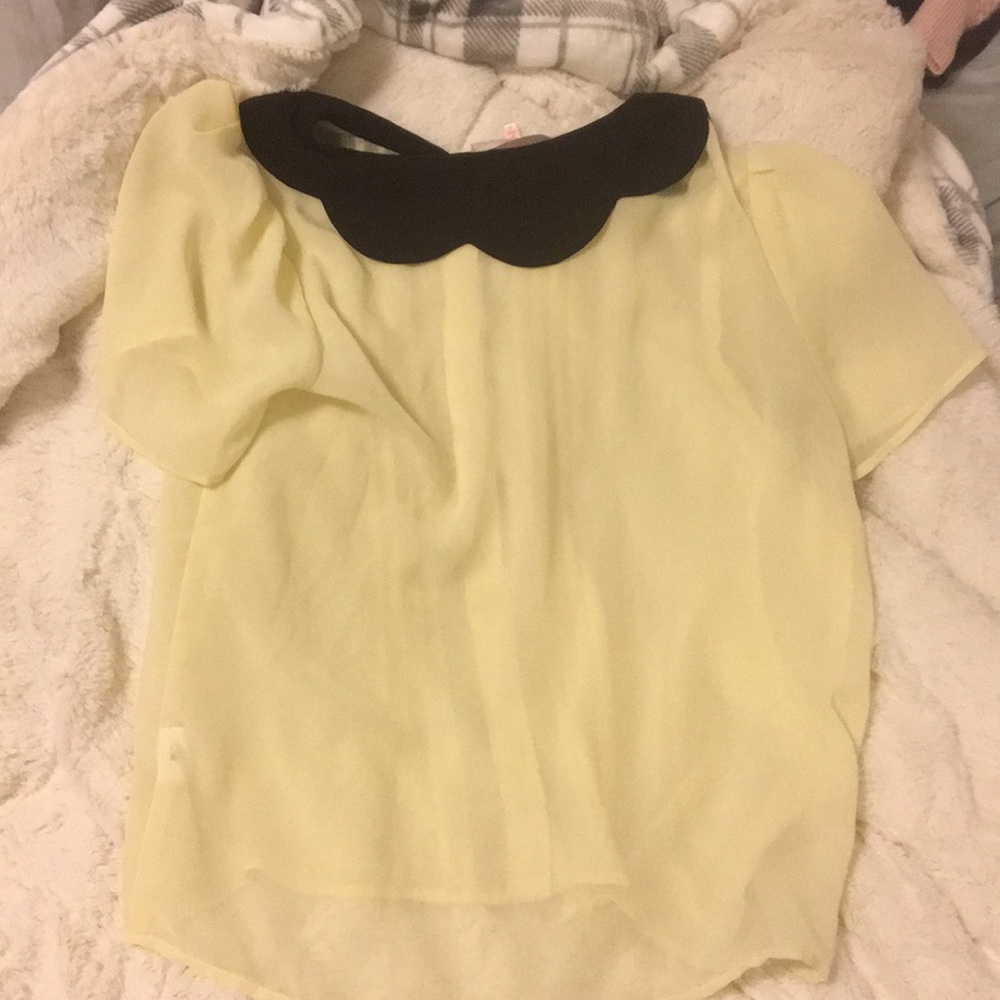 Francesca’s Collared Blouse - Picture 5 of 5
